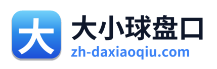 大小球盘口 Logo